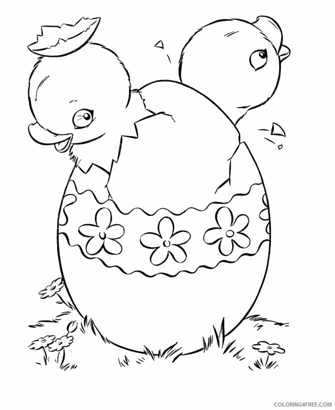 Chick Coloring Pages Animal Printable Sheets Printable Chick 2021 1028 Coloring4free