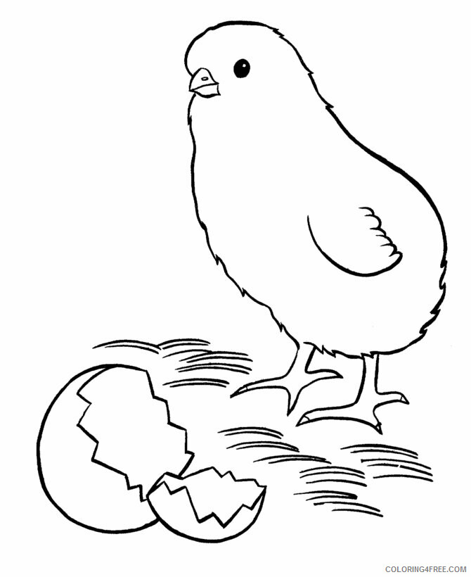 Chick Coloring Pages Animal Printable Sheets Printable Chick 2021 1029 Coloring4free