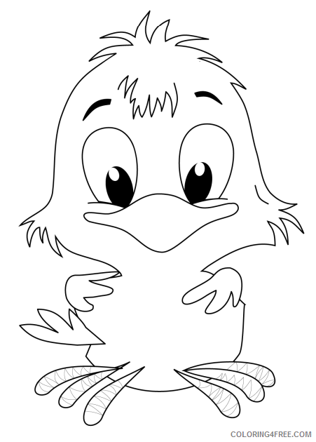 Chick Coloring Pages Animal Printable Sheets chick 2021 1016 Coloring4free