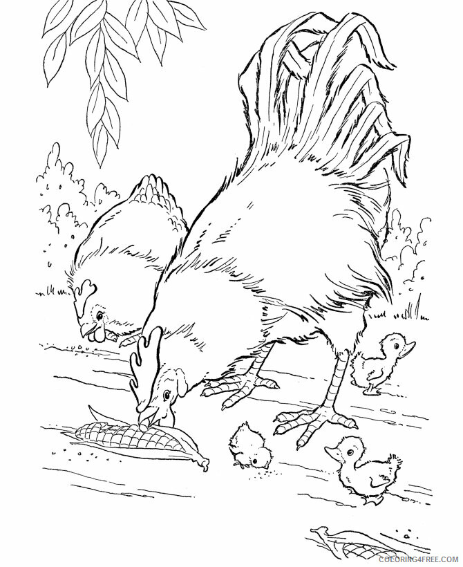 Chicken Coloring Pages Animal Printable Sheets Chicken 2021 1045 Coloring4free