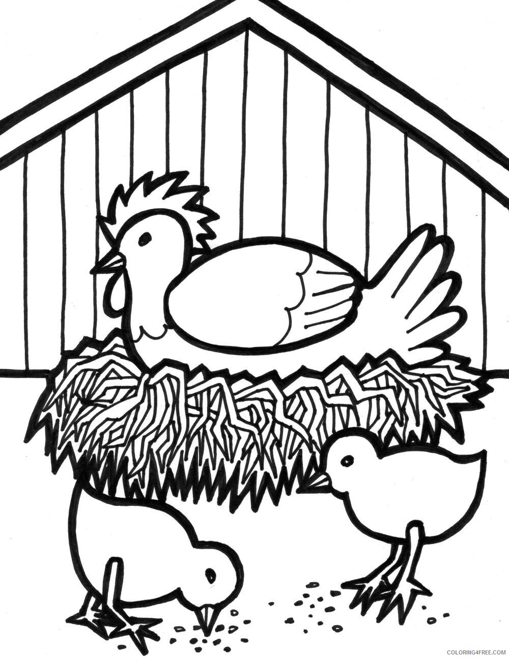 Chicken Coloring Pages Animal Printable Sheets Chicken and Chicks 2021 1043 Coloring4free