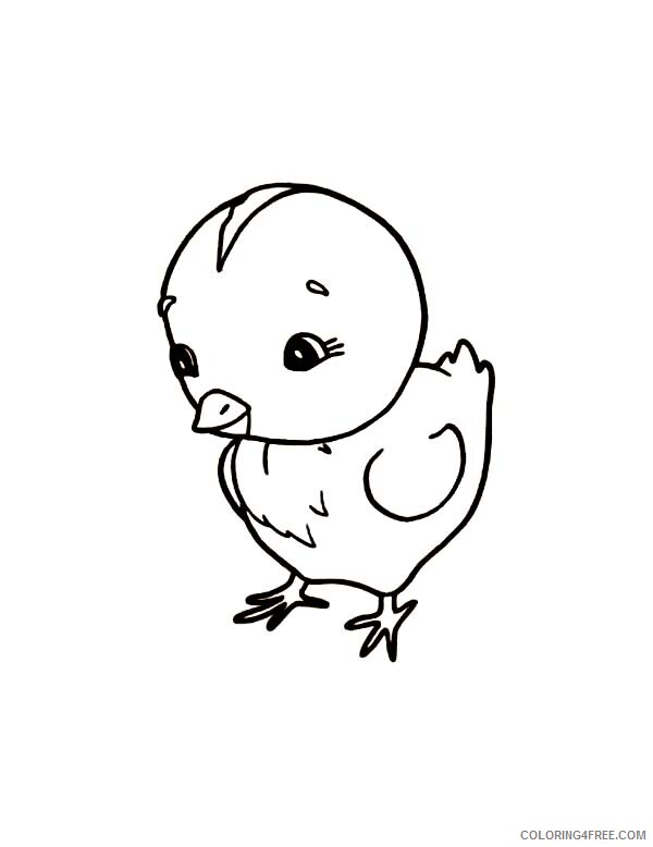 Chicken Coloring Pages Animal Printable Sheets Little Chicken 2021 1065 Coloring4free