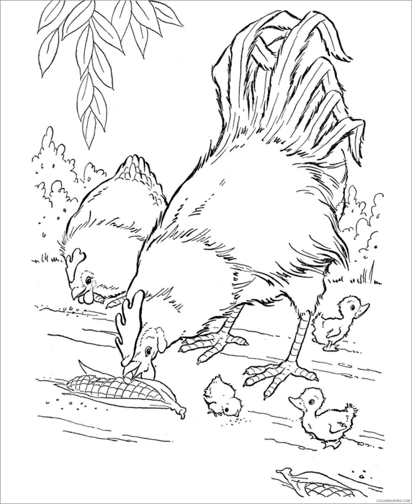 Chicken Coloring Pages Animal Printable Sheets realistic chicken 2021 1071 Coloring4free