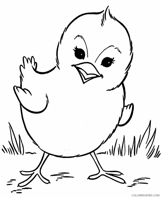 Chicken Coloring Sheets Animal Coloring Pages Printable 2021 0869 Coloring4free