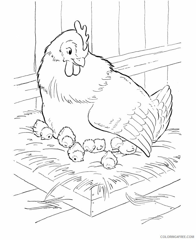 Chicken Coloring Sheets Animal Coloring Pages Printable 2021 0884 Coloring4free