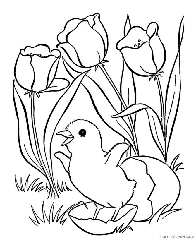 Chicken Coloring Sheets Animal Coloring Pages Printable 2021 0887 Coloring4free