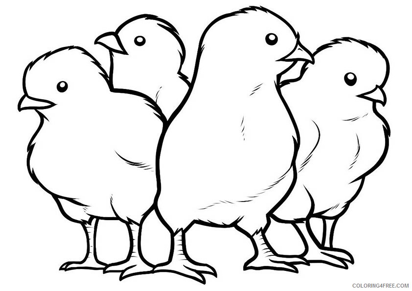Chicken Coloring Sheets Animal Coloring Pages Printable 2021 0893 Coloring4free