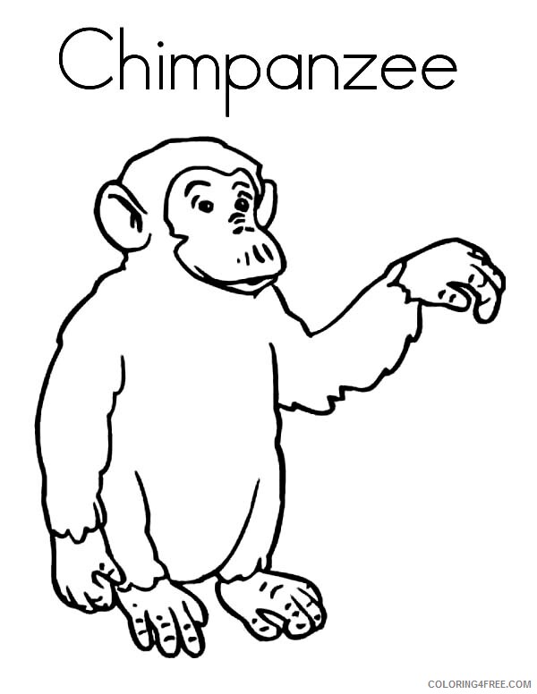 Chimpanzee Coloring Pages Animal Printable Sheets C is for Chimpanzee 2021 1089 Coloring4free