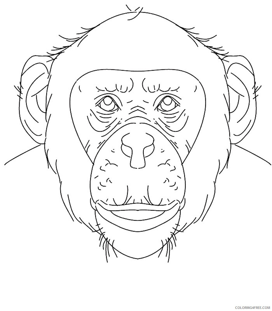 Chimpanzee Coloring Pages Animal Printable Sheets Chimpanzee Face 2021 1081 Coloring4free