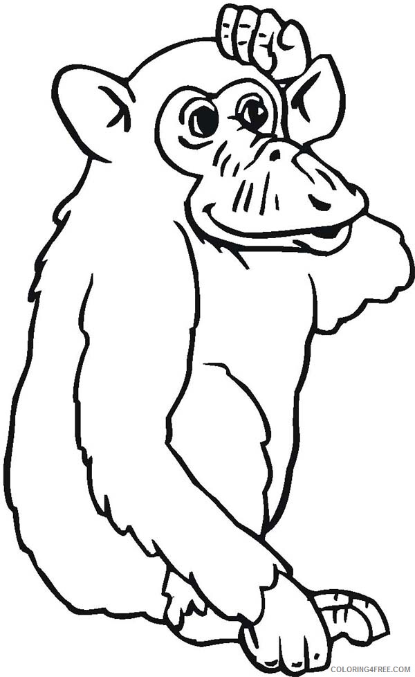Chimpanzee Coloring Pages Animal Printable Sheets Chimpanzee is Confuse 2021 1083 Coloring4free