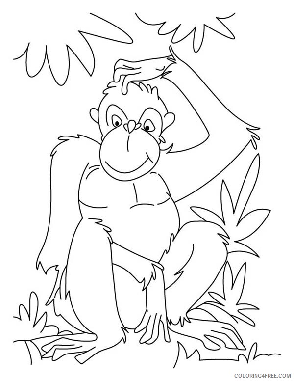 Chimpanzee Coloring Pages Animal Printable Sheets Scratch His Head 2021 1084 Coloring4free