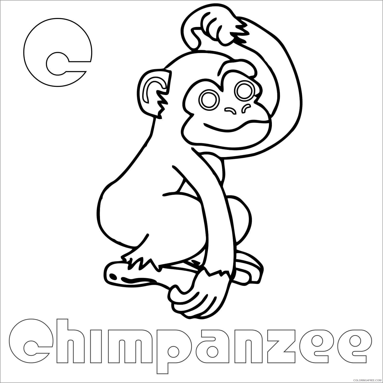 Chimpanzee Coloring Pages Animal Printable Sheets c for chimpanzee 2021 1075 Coloring4free