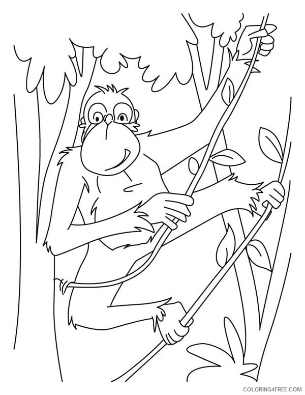 Chimpanzee Coloring Pages Animal Printable Swinging Around with Tree Root 2021 Coloring4free