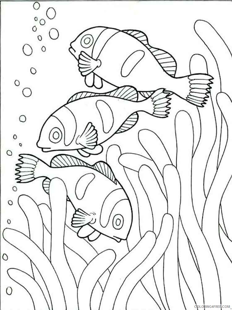 Clownfish Coloring Pages Animal Printable Sheets Clownfish 1 2021 1095 Coloring4free