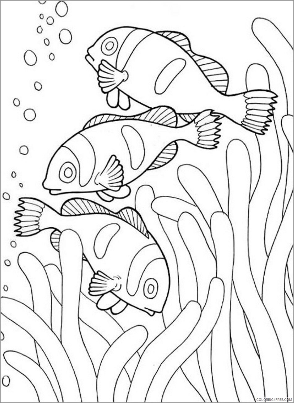 Clownfish Coloring Pages Animal Printable Sheets clown fish 2021 1100 Coloring4free