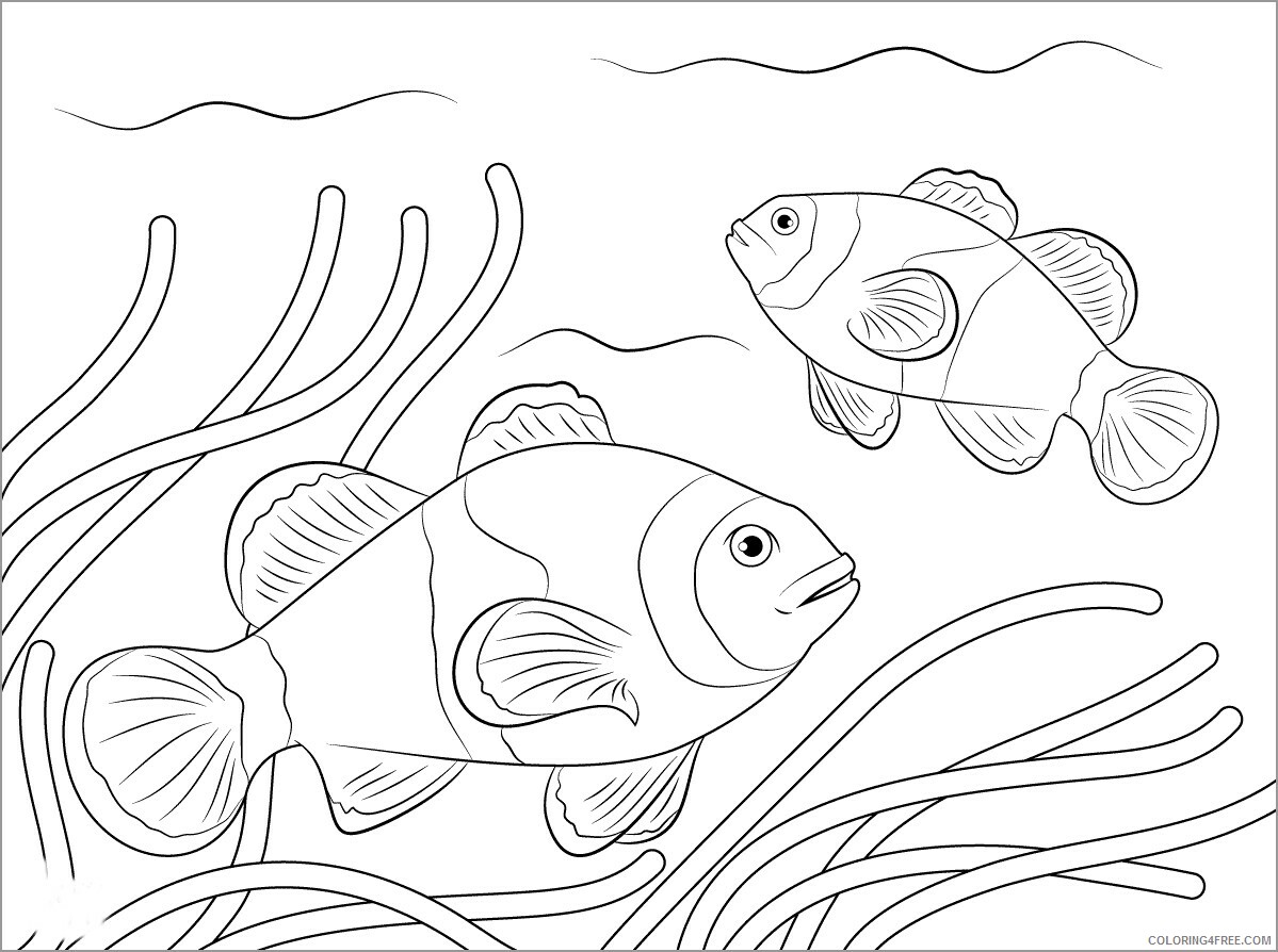 Clownfish Coloring Pages Animal Printable Sheets clownfish to print 2021 1101 Coloring4free