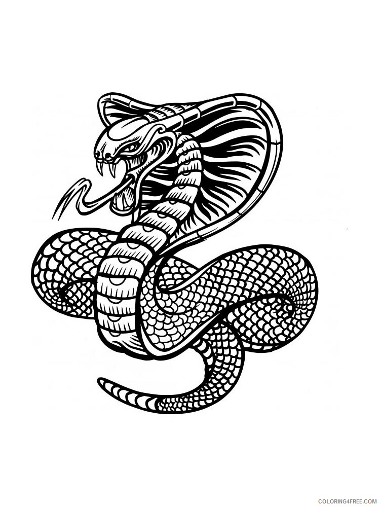 Cobra Coloring Pages Animal Printable Sheets cobra 10 2021 1105 Coloring4free