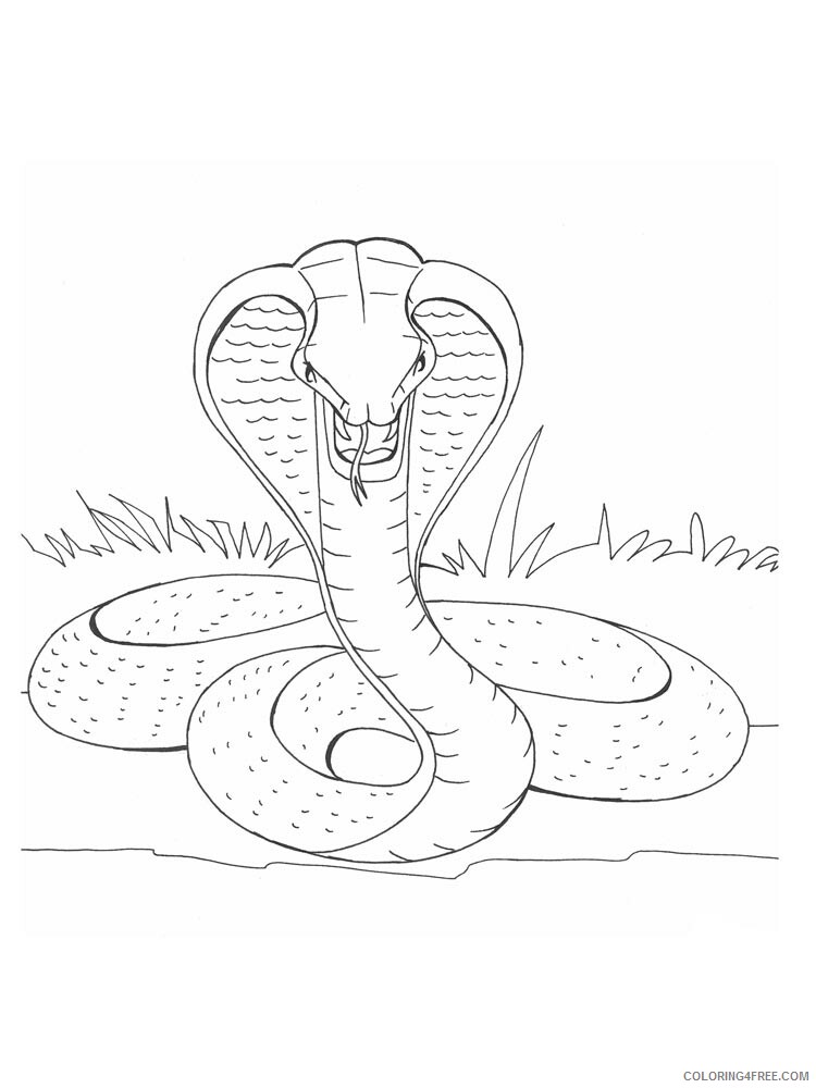 Cobra Coloring Pages Animal Printable Sheets cobra 19 2021 1111 Coloring4free
