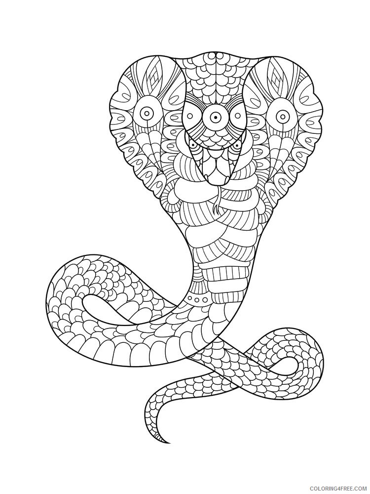 Cobra Coloring Pages Animal Printable Sheets cobra 35 2021 1122 Coloring4free