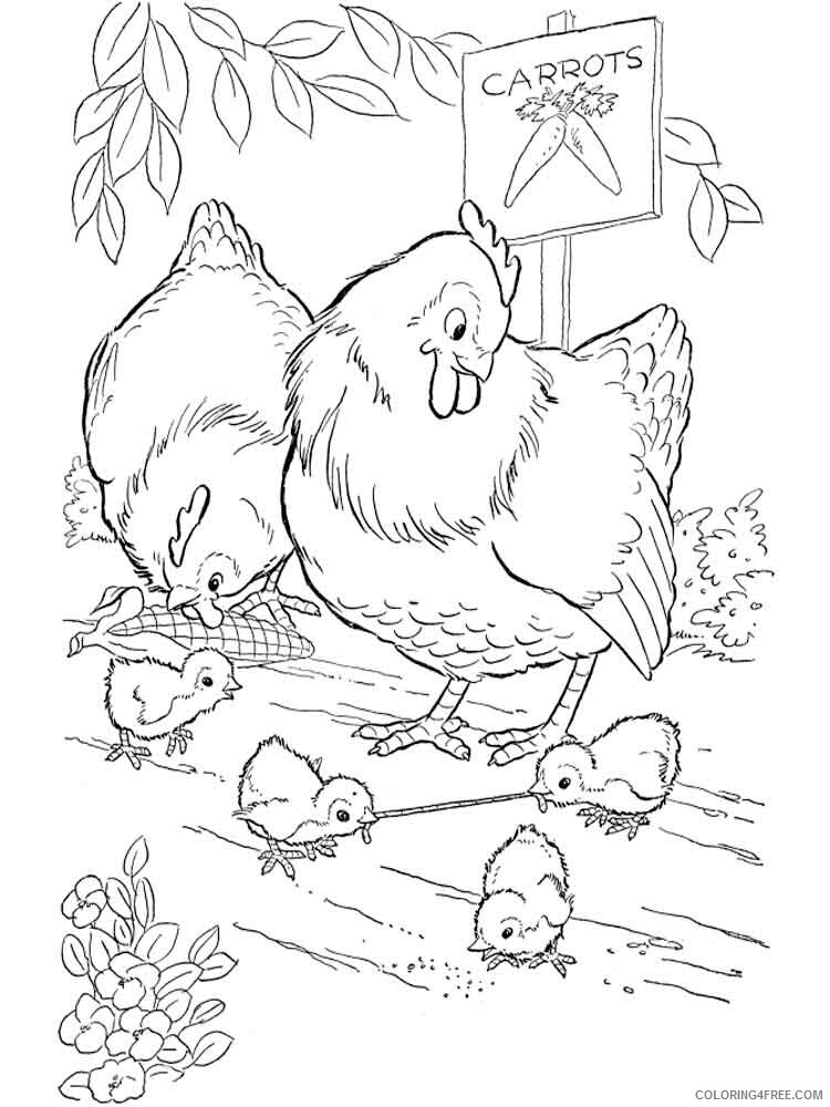 Cock Coloring Pages Animal Printable Sheets animals cock 14 2021 1132 Coloring4free