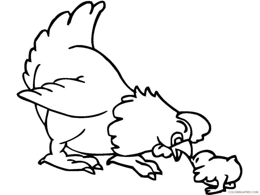 Cock Coloring Pages Animal Printable Sheets animals cock 5 2021 1136 Coloring4free