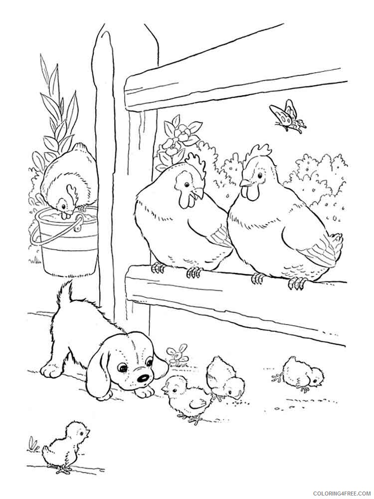 Cock Coloring Pages Animal Printable Sheets animals cock 9 2021 1139 Coloring4free