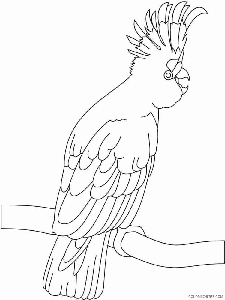 Cockatoos Coloring Pages Animal Printable Sheets Cockatoos birds 2 2021 1141 Coloring4free
