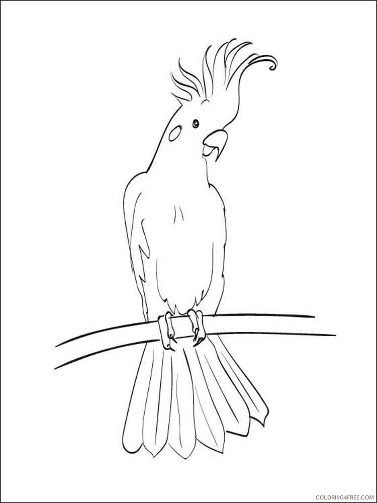 Cockatoos Coloring Pages Animal Printable Sheets Cockatoos birds 3 2021 1142 Coloring4free