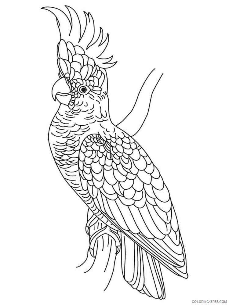 Cockatoos Coloring Pages Animal Printable Sheets Cockatoos birds 5 2021 1143 Coloring4free