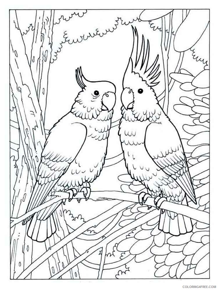 Cockatoos Coloring Pages Animal Printable Sheets Cockatoos birds 6 2021 1144 Coloring4free