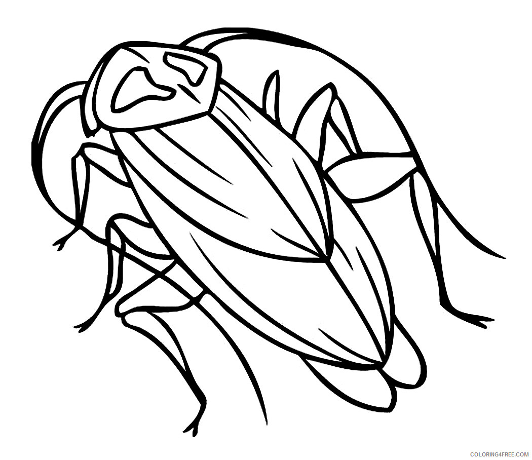 Cockroach Coloring Pages Animal Printable Sheets Cockroach Photos 2021 1152 Coloring4free
