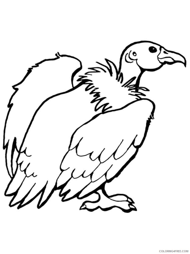 Condors Coloring Pages Animal Printable Sheets Condors birds 4 2021 1157 Coloring4free