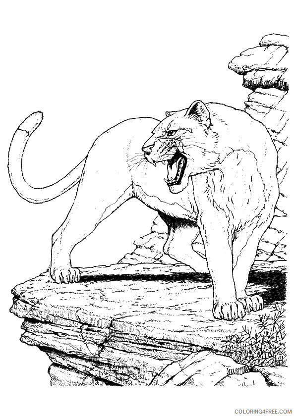 Cougar Coloring Sheets Animal Coloring Pages Printable 2021 0901 Coloring4free