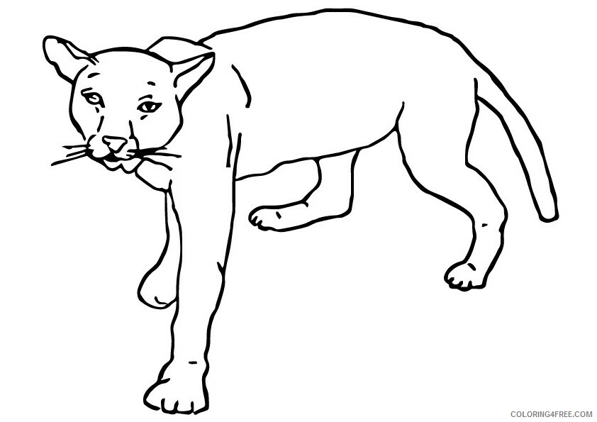 Cougar Coloring Sheets Animal Coloring Pages Printable 2021 0905 Coloring4free