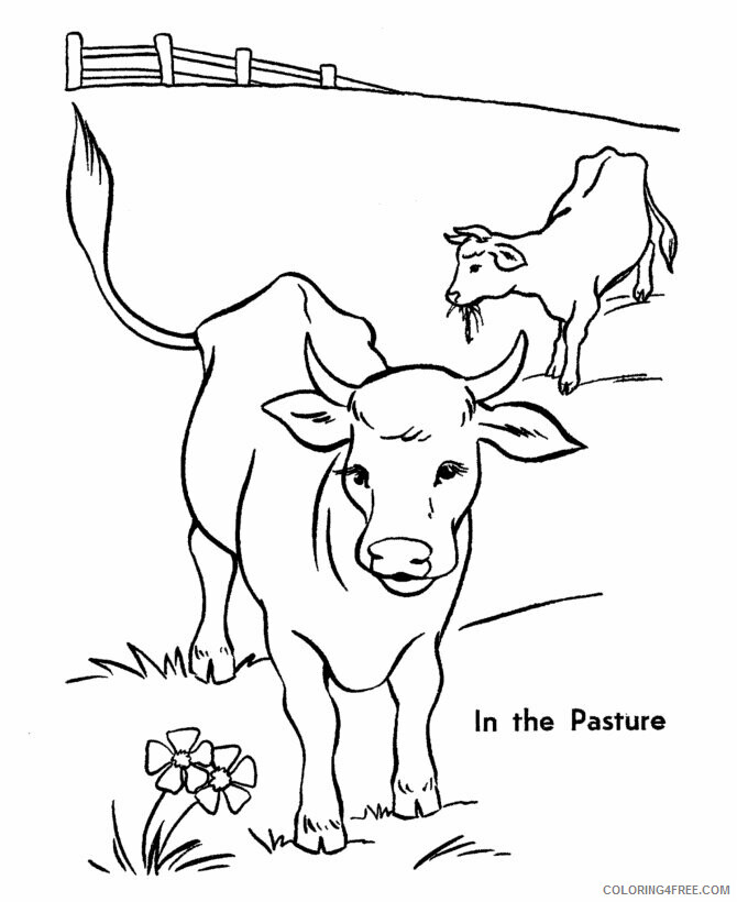 Cow Coloring Pages Animal Printable Sheets Cow 2021 1203 Coloring4free