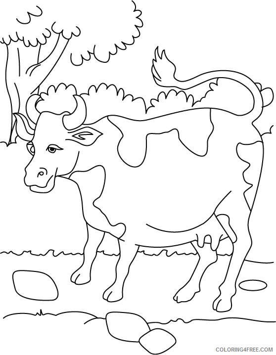Cow Coloring Pages Animal Printable Sheets Cow Sheets for Kids 2021 1198 Coloring4free