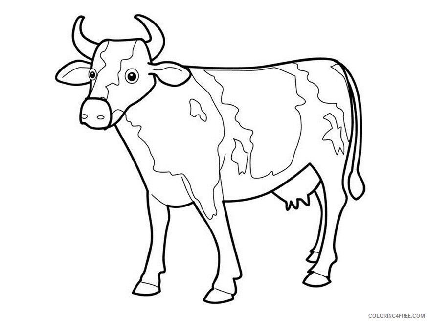 Cow Coloring Pages Animal Printable Sheets Free Cow 2021 1210 Coloring4free