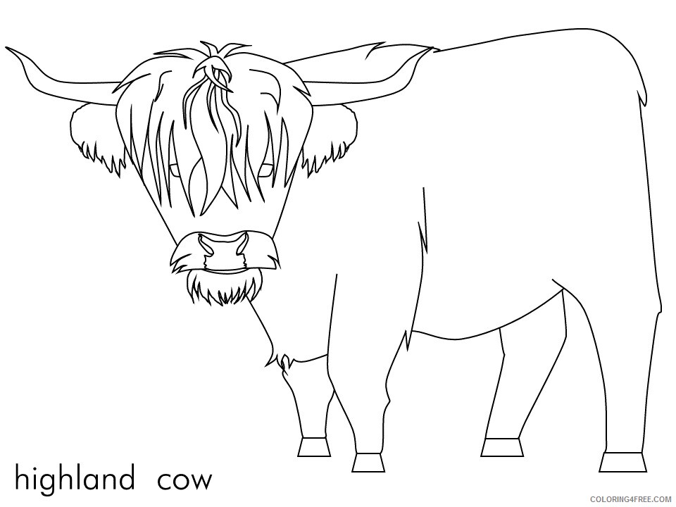 Cow Coloring Pages Animal Printable Sheets highland cow 2021 1212 Coloring4free