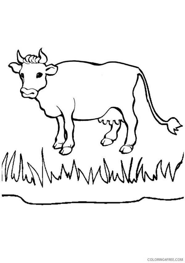 Cow Coloring Pages Animal Printable Sheets of Cow 2021 1186 Coloring4free