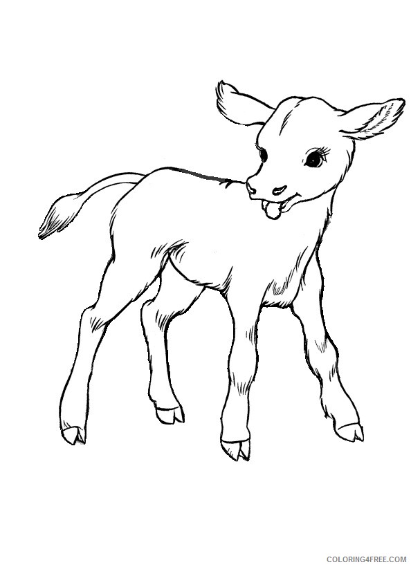 Cow Coloring Sheets Animal Coloring Pages Printable 2021 0912 Coloring4free
