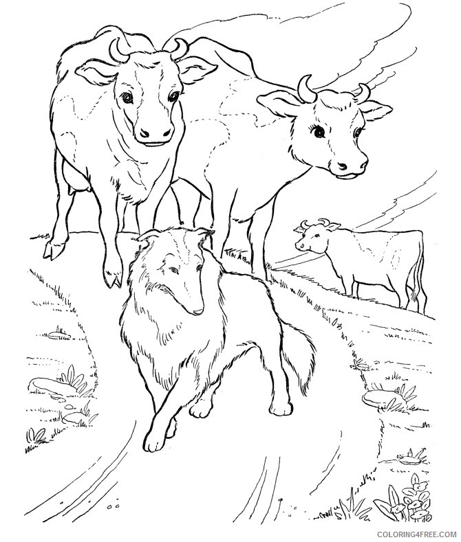 Cow Coloring Sheets Animal Coloring Pages Printable 2021 0931 Coloring4free