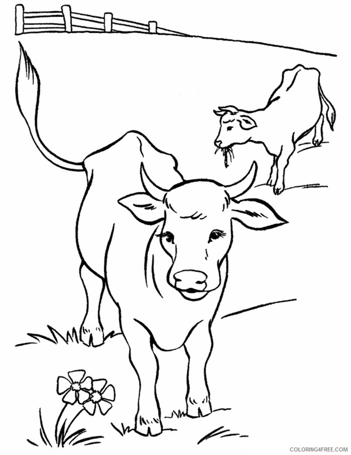 Cow Coloring Sheets Animal Coloring Pages Printable 2021 0937 Coloring4free