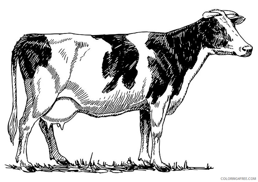 Cow Coloring Sheets Animal Coloring Pages Printable 2021 0954 Coloring4free