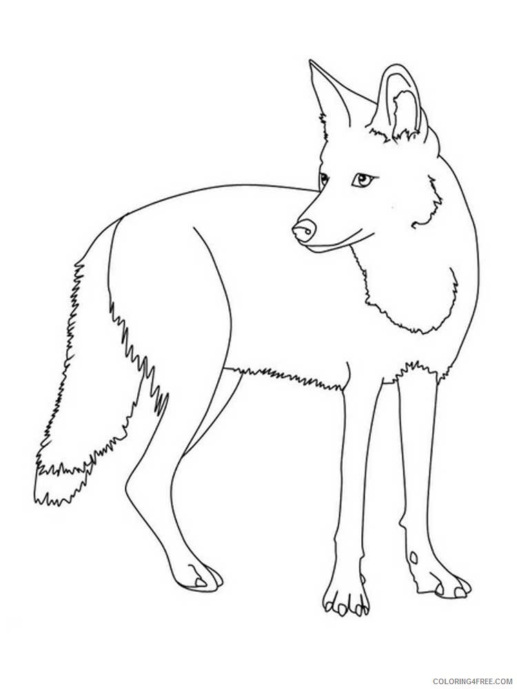 Coyote Coloring Pages Animal Printable Sheets Coyote 4 2021 1219 Coloring4free