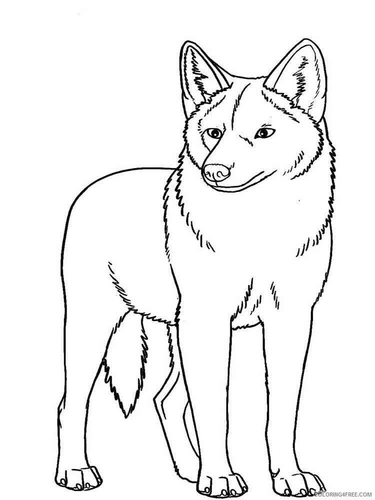 Coyote Coloring Pages Animal Printable Sheets Coyote 5 2021 1220 Coloring4free