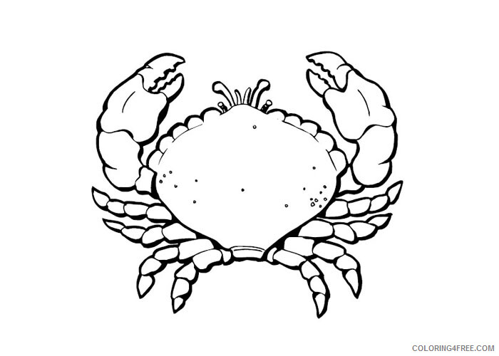 Crab Coloring Pages Animal Printable Sheets Crab 2 2021 1238 Coloring4free