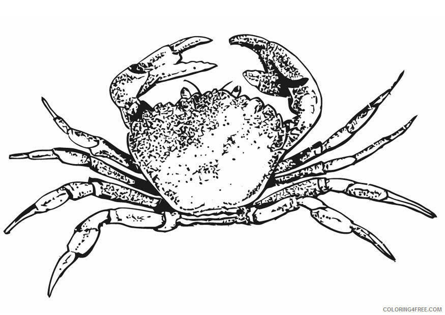 Crab Coloring Pages Animal Printable Sheets Crab 2021 1229 Coloring4free