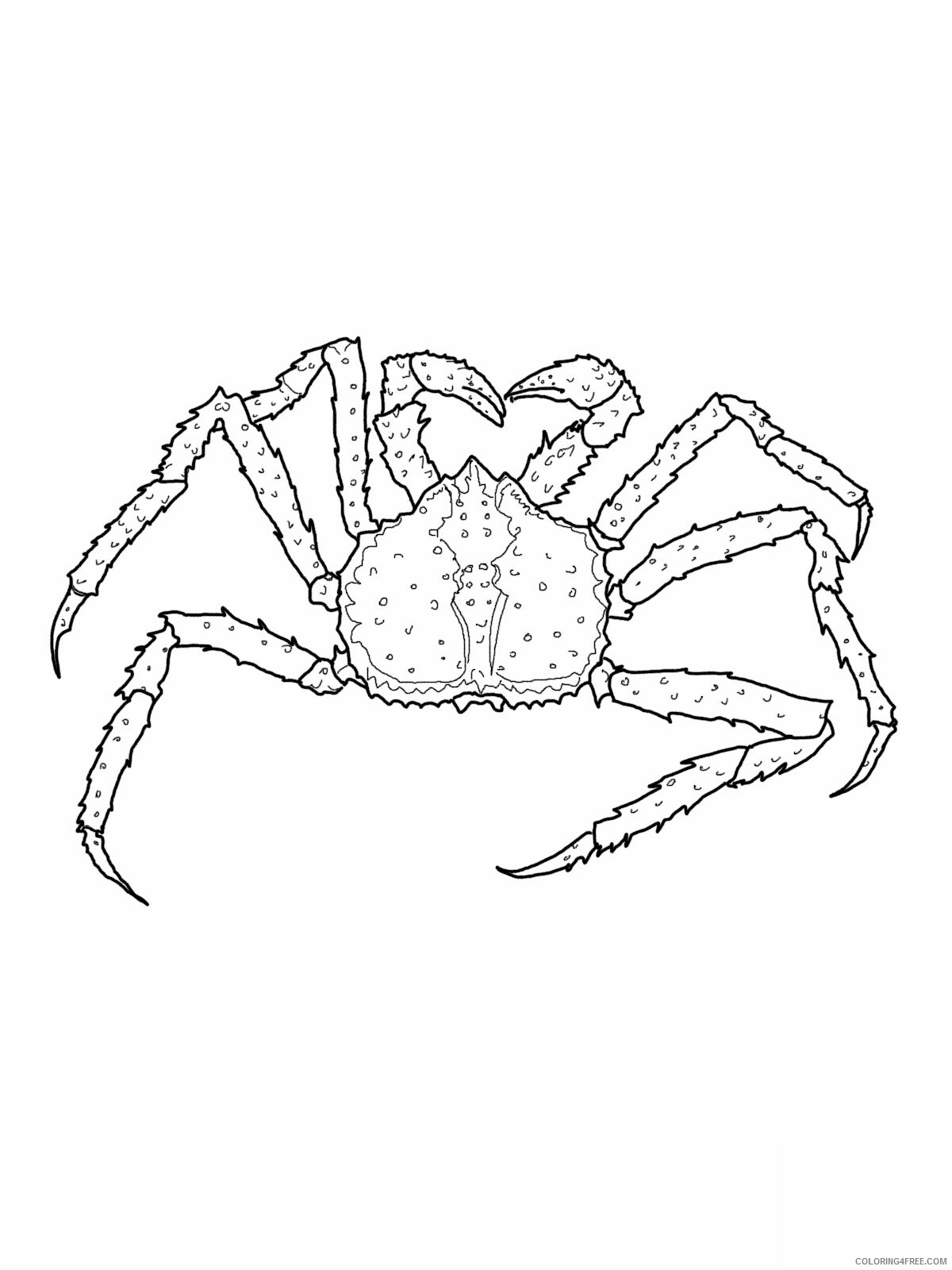 Crab Coloring Pages Animal Printable Sheets Crab 2021 1241 Coloring4free