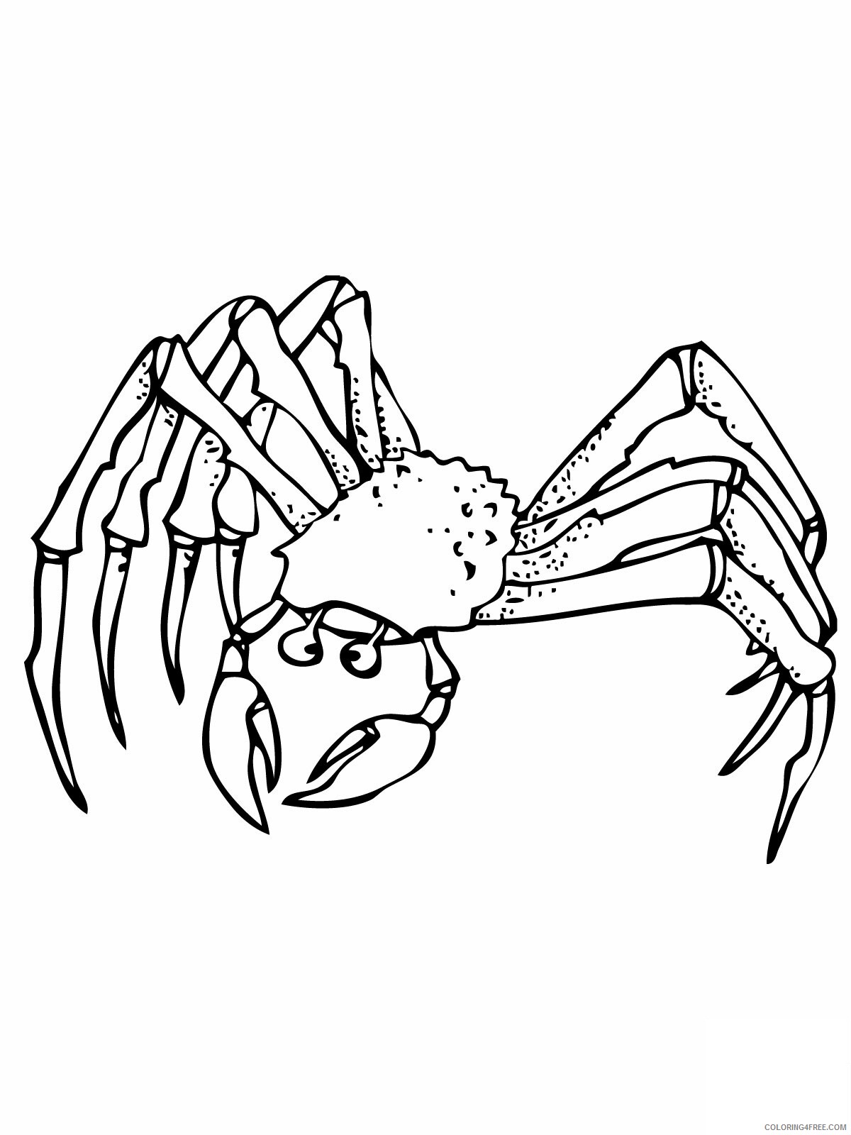 Crab Coloring Pages Animal Printable Sheets Crab 2021 1242 Coloring4free