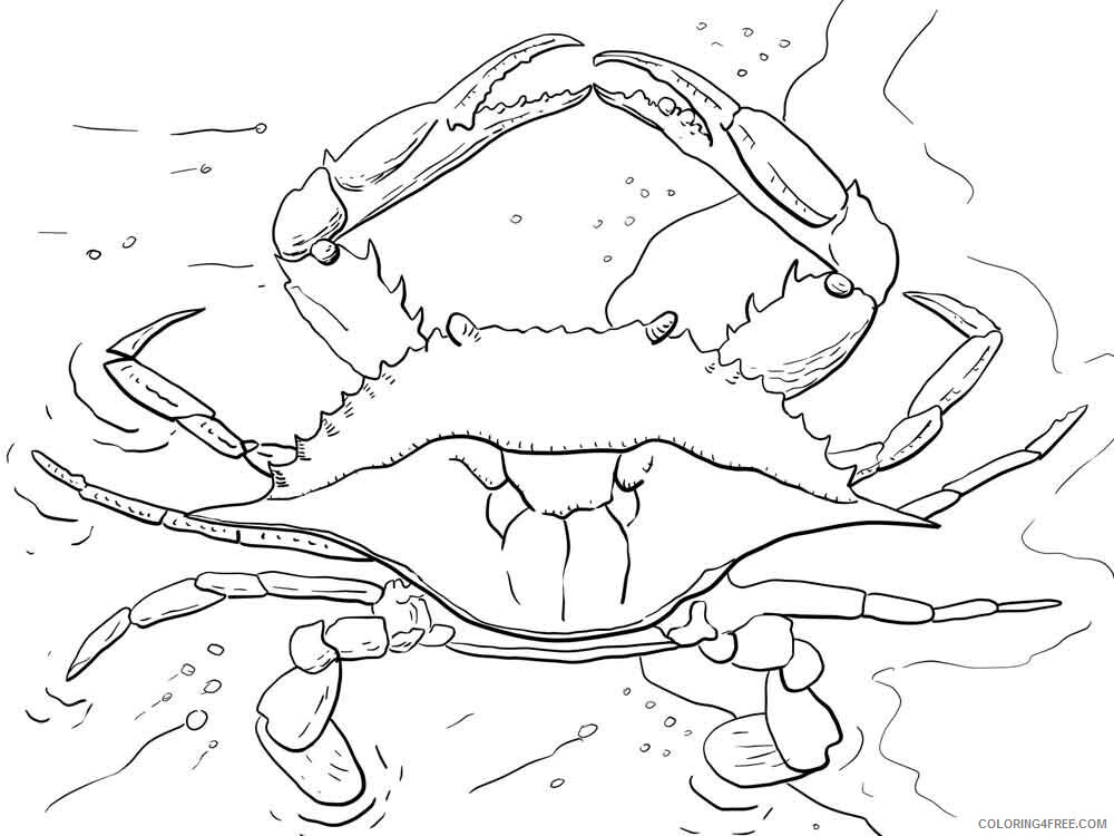 Crab Coloring Pages Animal Printable Sheets Crab 9 2021 1239 Coloring4free
